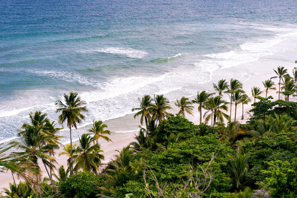 Coastal landscape at Devgad